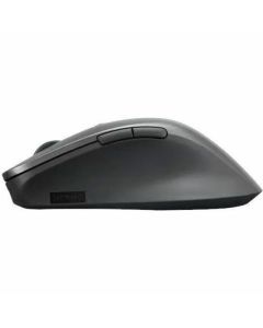 Lenovo Prof Bluetooth Recharg Mouse