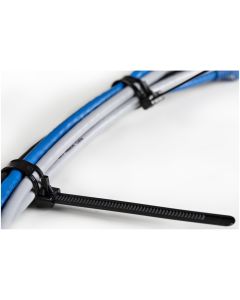 25cm Reusable Cable Ties Nylon 100 Pack