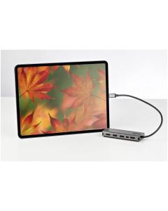 USB C Multiport Adapter HDMI/mDP 4K 60Hz
