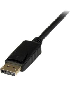 3 ft DisplayPort to DVI Converter Cable