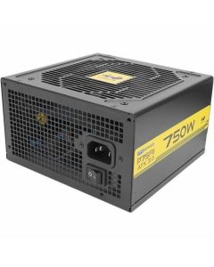 P75FII 750W GOLD PCI-E GEN 5.0 PSU