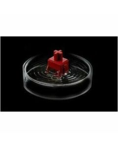 ROG STRIX SCOPE II NX SNOW SWITCH KB